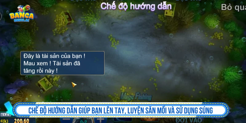 Chế độ luyện tập trong Vua Câu Cá